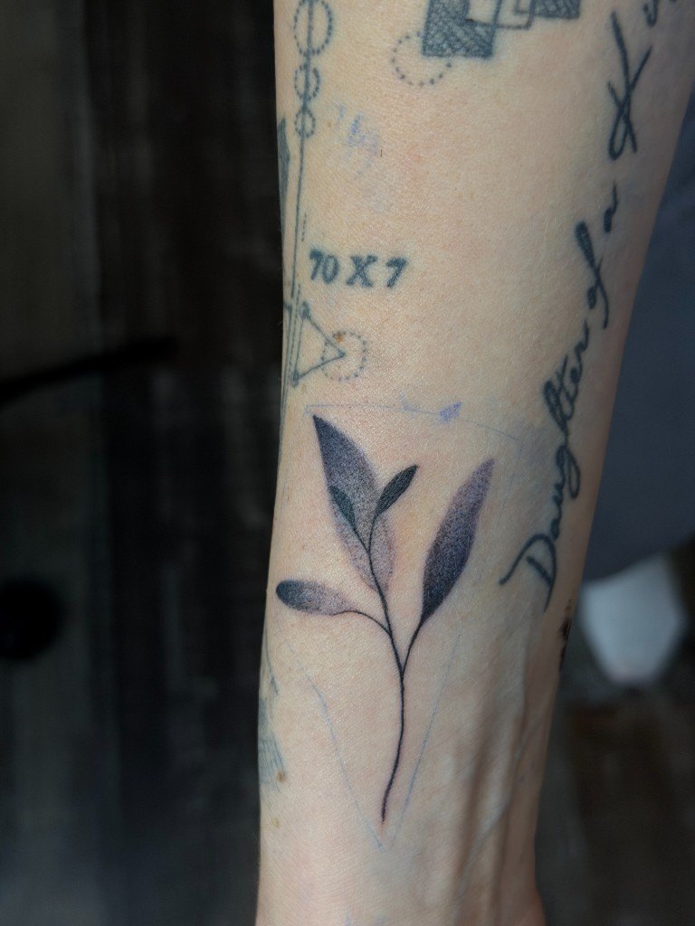 Fine-line leaf sprig tattoo with geometric script on an inner forearm