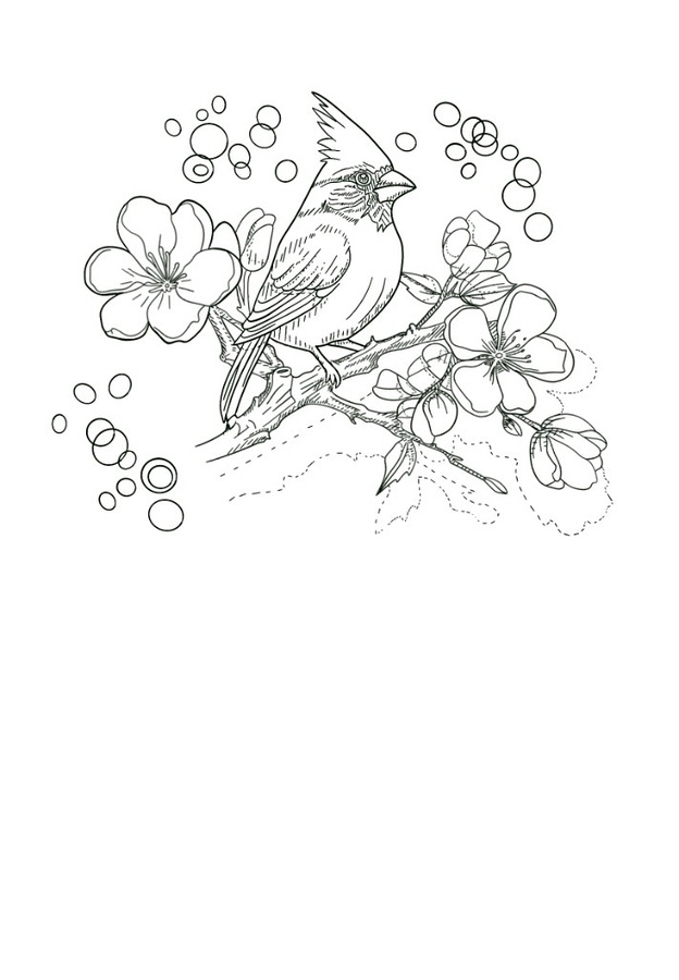 Fine-line flash design of a cardinal perched on a flowering branch with floating bubbles